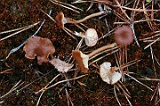 IMG_3814