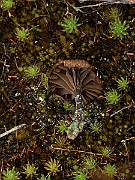 IMG_0611