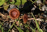 IMG_0752