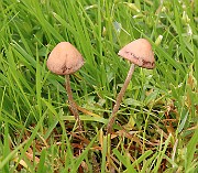 IMG_0661