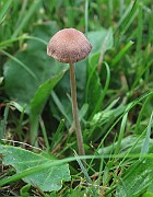 IMG_1227