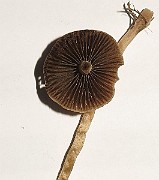 IMG_1237