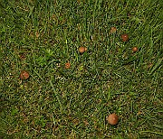 IMG_1240