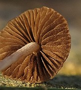 IMG_1244