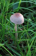 IMG_1245