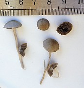 IMG_1257