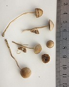 IMG_1260