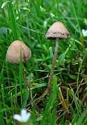 IMG_9424