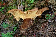 IMG_2083