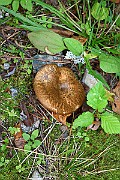 IMG_2001