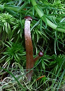 IMG_0830