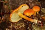 IMG_0126