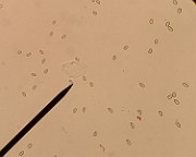 z20200722_050657