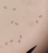 z20200722_050743