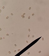 z20200722_050859