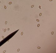 z20200722_050901