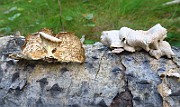 IMG_6853