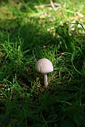 IMG_0801