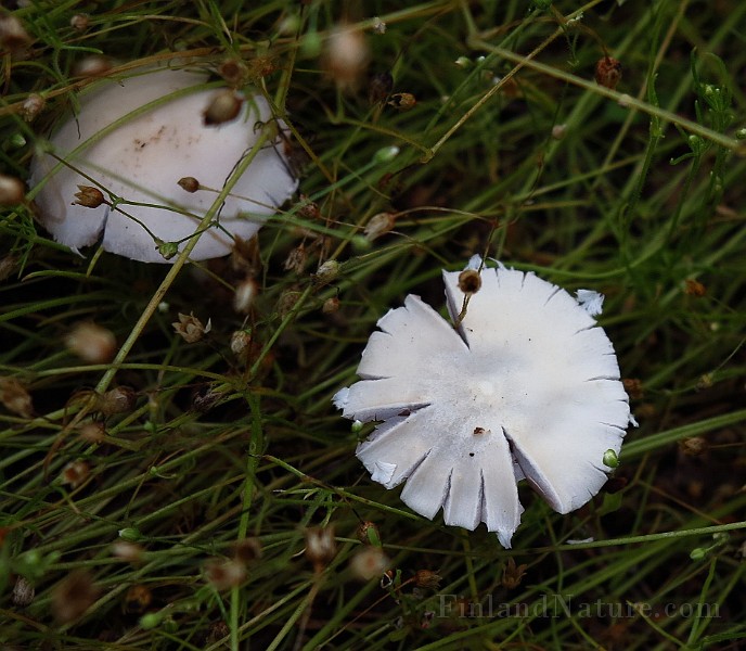 IMG_2308.JPG -                                