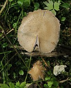 IMG_0195