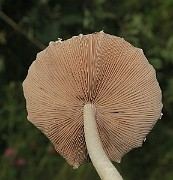 IMG_0204