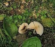 IMG_0207