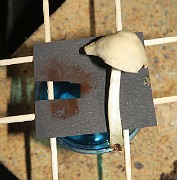 IMG_0434