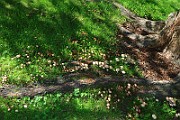IMG_0769