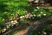 IMG_0770