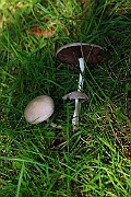 IMG_0778