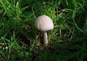 IMG_0801
