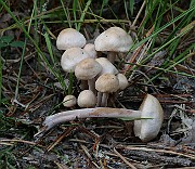 IMG_1456