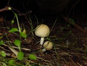 IMG_2323