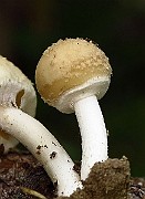 IMG_2325