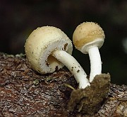 IMG_2326