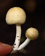 IMG_2327