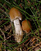 IMG_5917