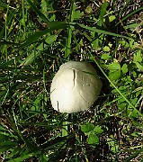 IMG_9533