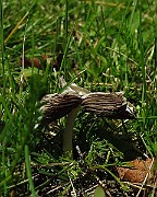 IMG_9537