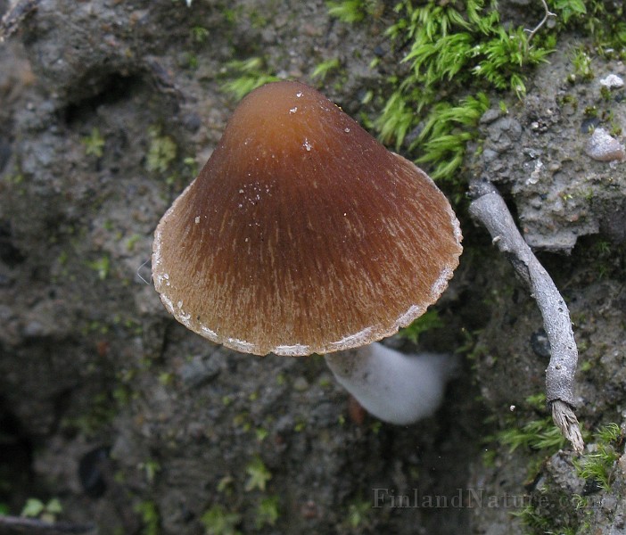 IMG_2555.jpg