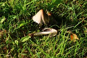 IMG_1563