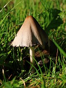 IMG_1565