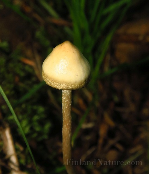 IMG_6865.JPG