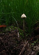IMG_6862