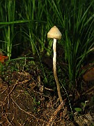 IMG_6864
