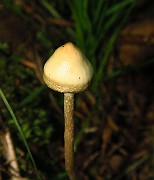 IMG_6865