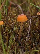 IMG_0608