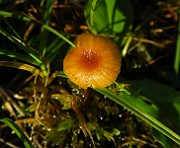IMG_1205