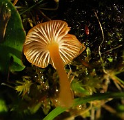 IMG_1207
