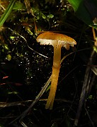 IMG_1208